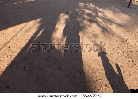 shadow of tree and people and dog on ground