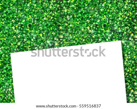 A empty paper on  green leave texture.