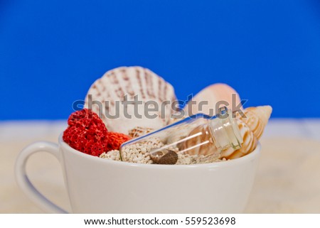 Seashell collection on a cup of tea with red coral inside