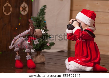 Girl taking a picture of a deer at xmas evening