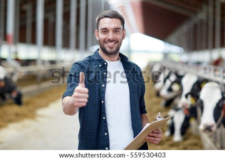 agriculture industry, farming, people and animal husbandry concept - happy smiling young man or farmer with clipboard and cows in cowshed on dairy farm showing thumbs up hand sign