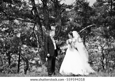 Elegance wedding couple at their day background pine forest. Happy in love newlyweds. Black and white photo