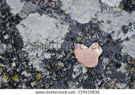 Colorful heart-shaped stone on the ground.