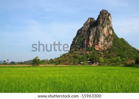 This picture contain green rice field and the big mountain. Green field available in Thailand