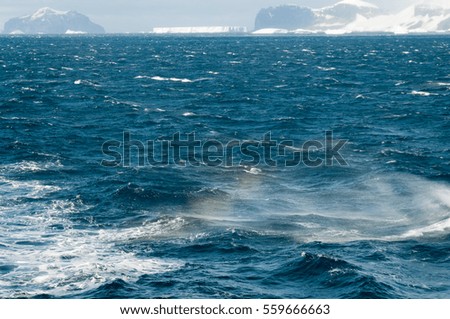 Water vapor being pushed up by storm winds. Rough seas near Brown Bluff, Antarctica.
