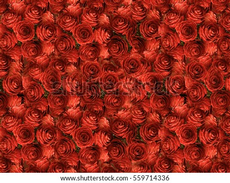 natural red roses background,top view of rose, valentine card,wedding flowers 3d

