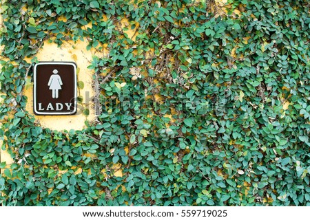 Label LadyÃ¢??s room, toilet in  the circle of ivy.