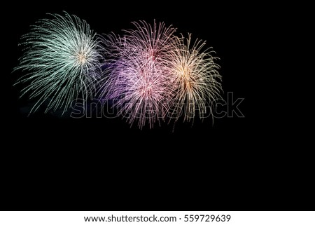 Beautiful colorful holiday fireworks on the black sky background