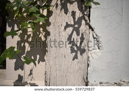 dry skin wood and green leaf background,wood wallpaper in cream color tone

