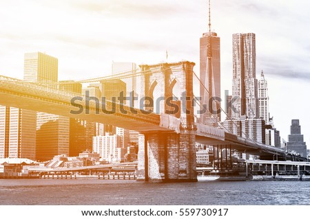 The Manhattan skyline and Brooklyn Bridge seen from Brooklyn Bridge Park in Brooklyn, New York.