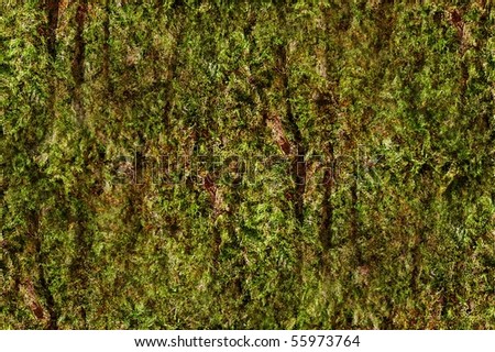 digitally altered seamless texture mossy bark on rain forest tree background
