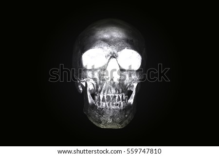 Still life skull dark tone