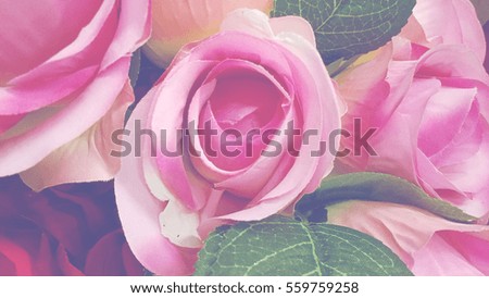 satin rose vintage color tone for sweet background.