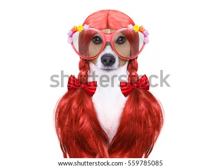 hairdresser dog ready to look beautiful by comb, scissors, dryer, and spray at the wellness spa salon, isolated on white background wearing funny nerd glasses