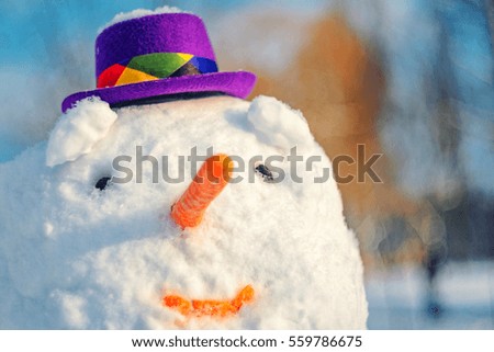 Snowman with purple hat. Facial closeup portrait