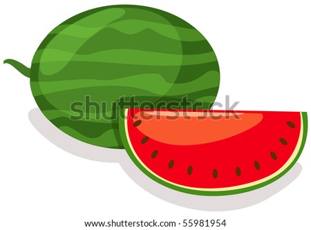 illustration of isolated full and sliced watermelon on white background