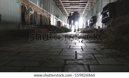 Young jockey is walking with a horse out of a stable. Man leading horse out of stable. Male silhouette with stallion. Rear back view. Love for animal. Beautiful background. Steadicam shot Royalty-Free Stock Photo #559826866