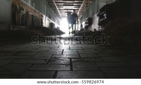 Young man leading horse along of stable. Unrecognizable jockey is walking with a horse at the stable. Male silhouette with stallion. Love for animal. Beautiful background. Front view