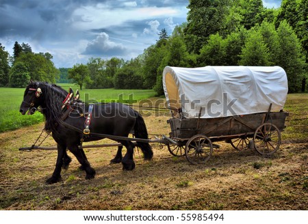 Vintage chariot with two black horses Royalty-Free Stock Photo #55985494
