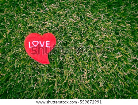 red heart on grass background