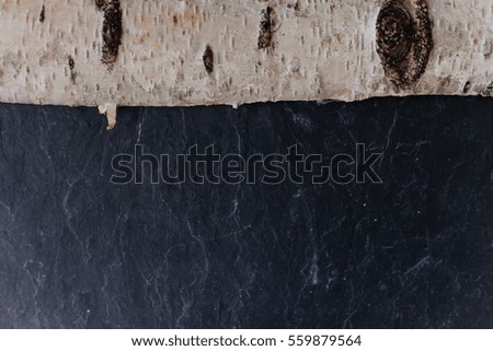 Birch billet on black background, rock texture top view.