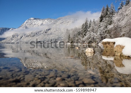 Bohinj lake, clear water and snowy alps. Winter fairy tale