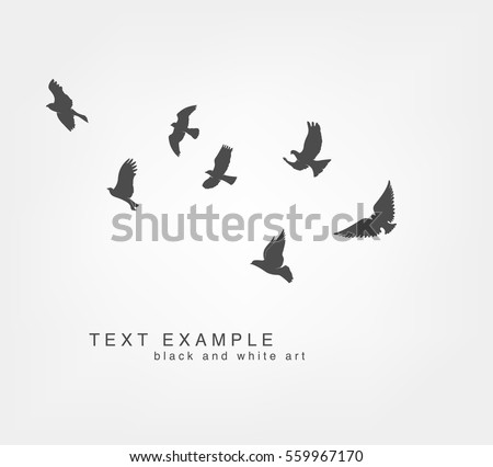 dark figures flying birds on white background