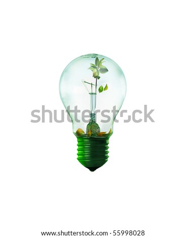 A small lamp with a green sprout inside.