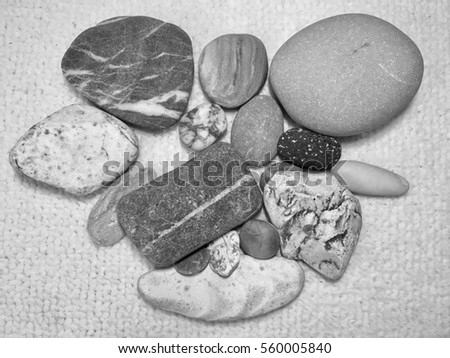 The composition of the different rocks on a white background. Beautiful stones from the bottom of the Mediterranean sea. Black and white picture