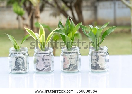 Money growing plant step with deposit bank note  in bank concept Royalty-Free Stock Photo #560008984