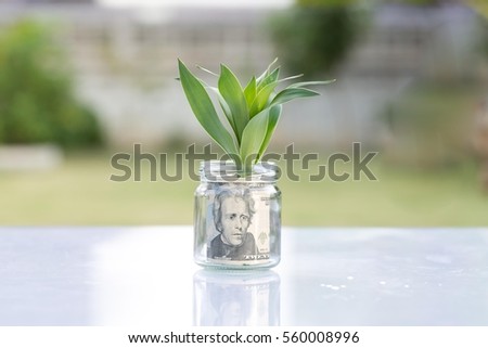 Money growing plant step with deposit bank note  in bank concept
