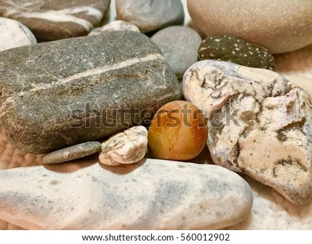 The composition of the different rocks on a white background. Beautiful stones from the bottom of the Mediterranean sea