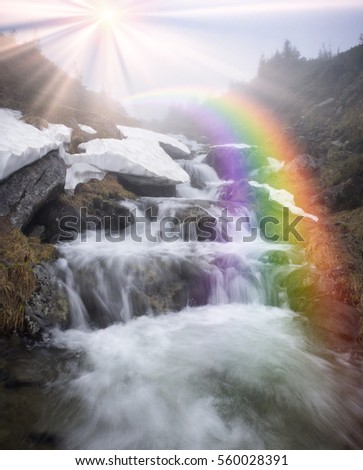 Stream among melting snow under the peak of Hoverla, stormy clean water feeds the waterfall and the river Prut on the background of the mountain slopes of the Carpathian Mountains
