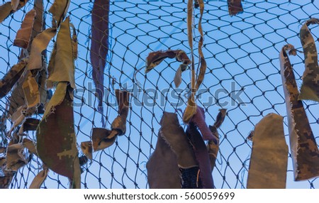 Texture Thailand military camouflage nets on day time image .