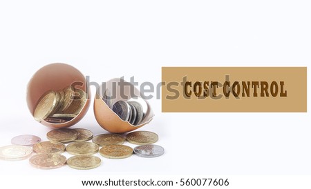 Egg shell and coins with business and finance text conceptual. Lens flare filter added.