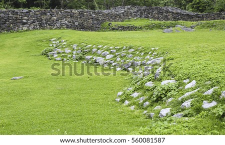 stone wall on green grass 