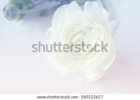 Bouquet of flowers isolated