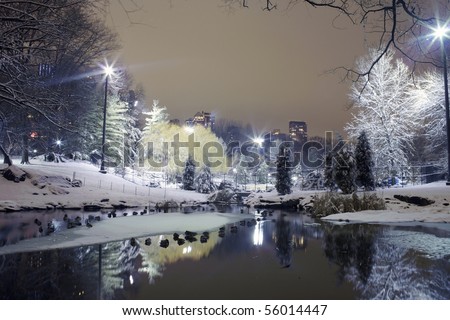 Photo of Central Park in New York City at night.  Taken December 19, 2008 in the USA.  This image was taken by the 59th street pond on the south end of the park.