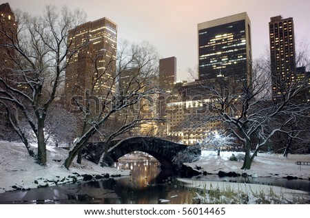 Photo of New York City buildings as viewed from Central Park at night.  Taken December 19, 2008 in the USA.