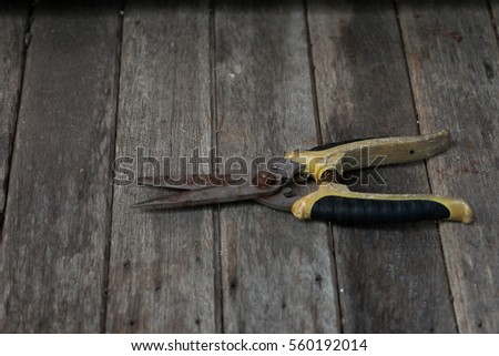 rust pruning Shears on wooden background