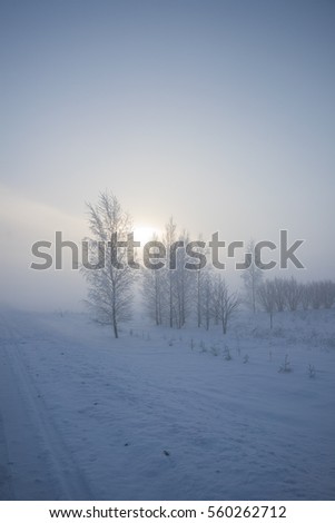 Winter foggy day