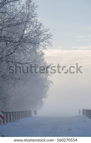 Foggy winter day