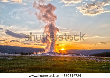 Old Faithful Geyser Eruption in Yellowstone National Park at Sunset Royalty-Free Stock Photo #560319724