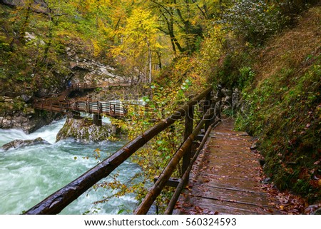 Vintgar gorge and wooden path near Bled, Slovenia.Europe