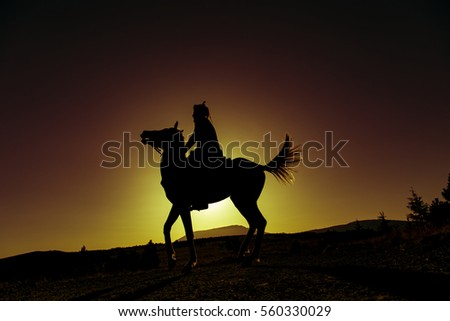 horse and man Silhouette at sunset
