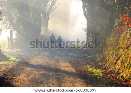 Couple walking in the foggy forest with beautiful morning sun rays Royalty-Free Stock Photo #560330599