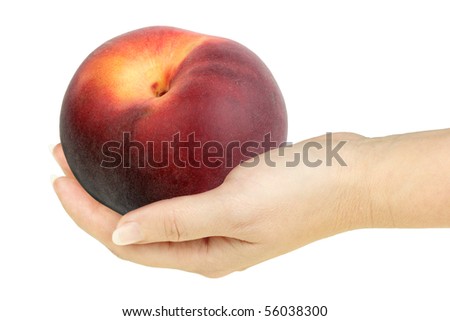 Single peach in a hand of woman. Isolated on white background. Close-up. Studio photography.