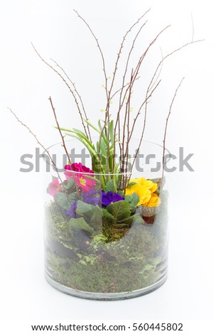 Flower arrangement in a glass vase isolated on a white background