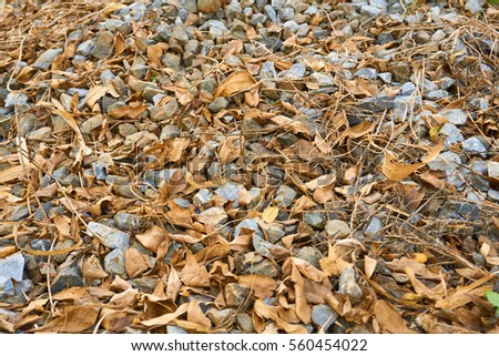 Many leaves falls on the scree create beautiful background