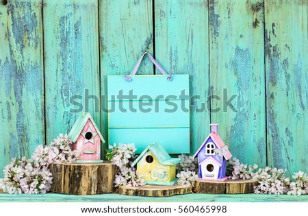 Blank wood sign hanging over colorful birdhouses on cedar logs by white spring tree blossoms and antique rustic mint green wooden background; pink, green, purple, yellow birdhouses with copy space